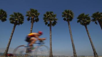 Biker and Palm Trees