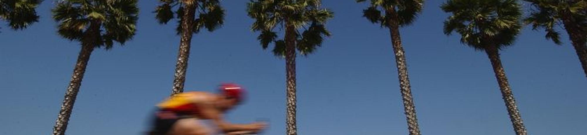 Biker and Palm Trees